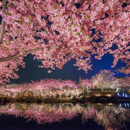 Hotel Castle Inn Yokkaichi Zewnętrze zdjęcie