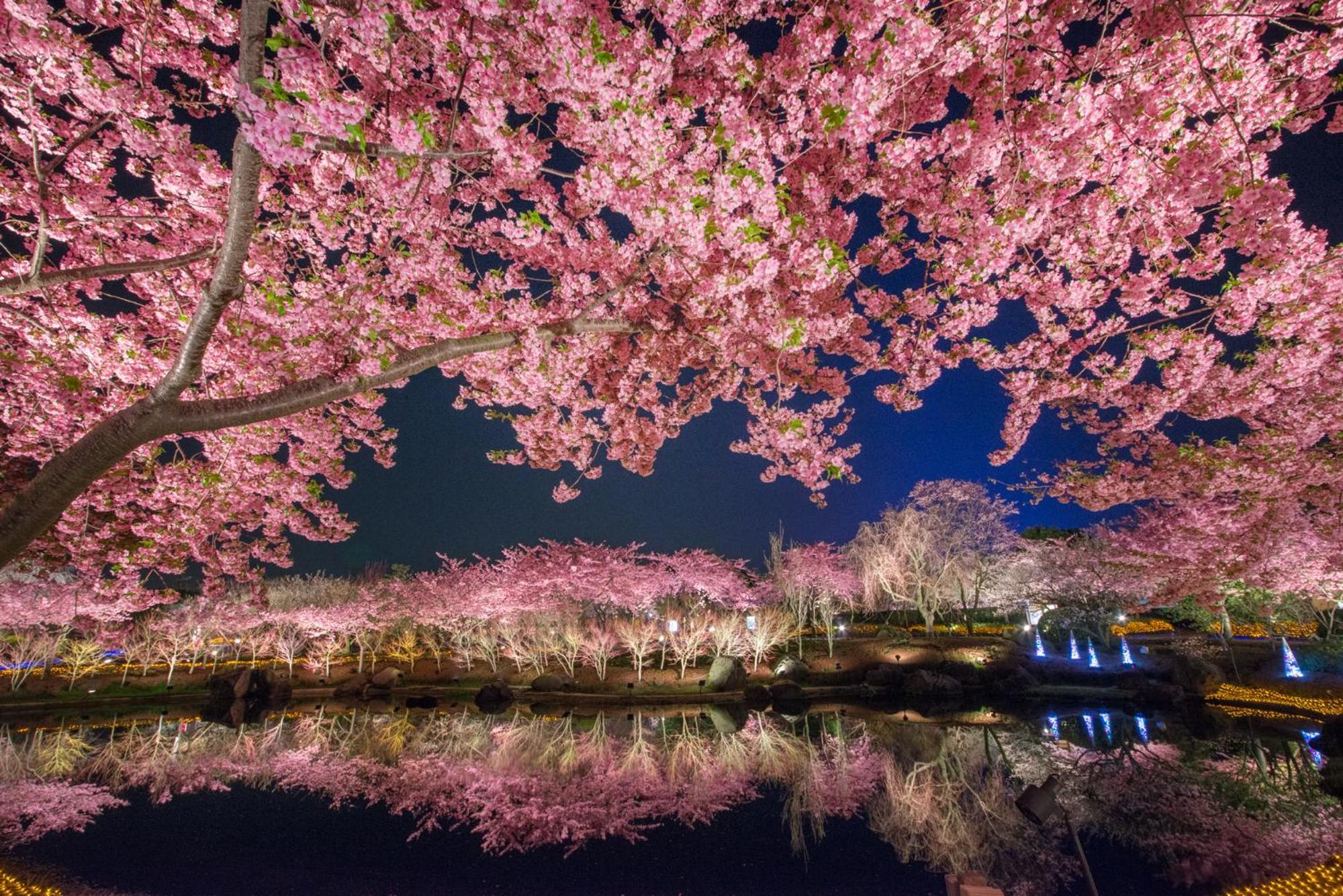 Hotel Castle Inn Yokkaichi Zewnętrze zdjęcie